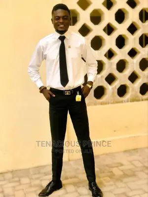 Management CV