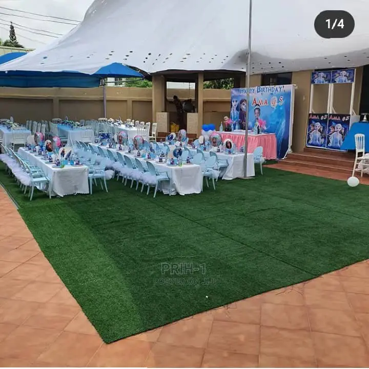 Rental of All Kids Party Items and Rentals of Bouncy Castles