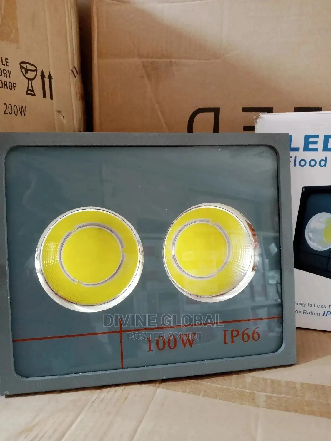 100W 2eye LED Flood Lights