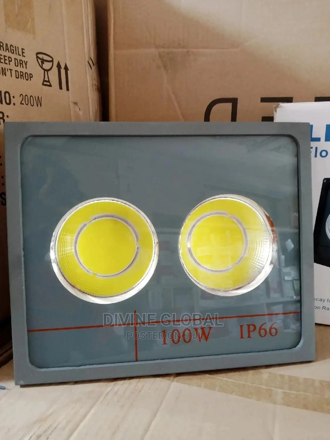100W 2eye LED Flood Lights