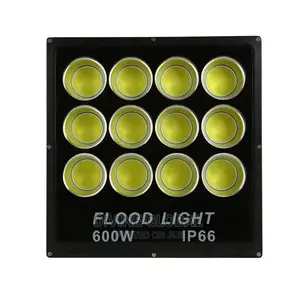 600W LED Flood Light