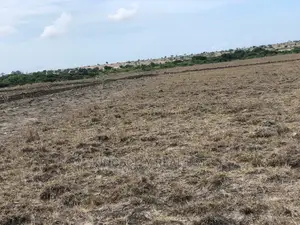 Most Affordable Land for Sale at Tsopoli