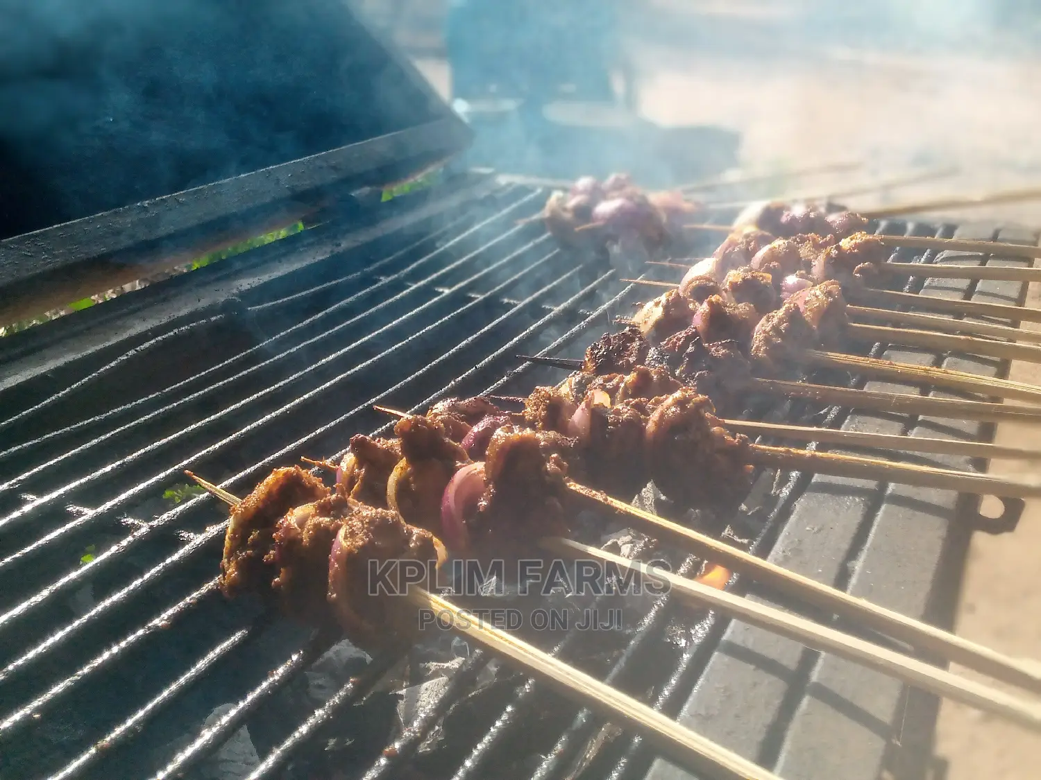 Grilled Rabbit Meat