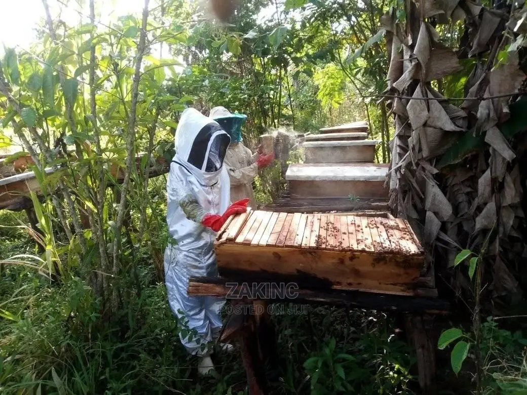 Premium Unprocessed Raw Honey