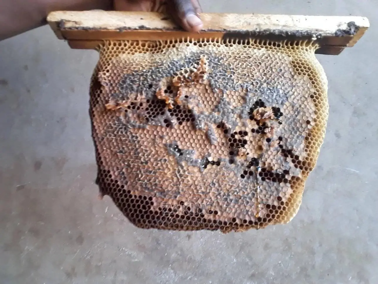 Premium Unprocessed Raw Honey