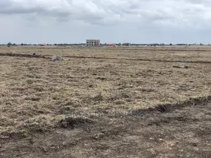 Productive Land for Sale at Tsopoli