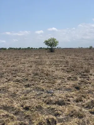 Peaceful Environment Land for Sale at Tsopoli