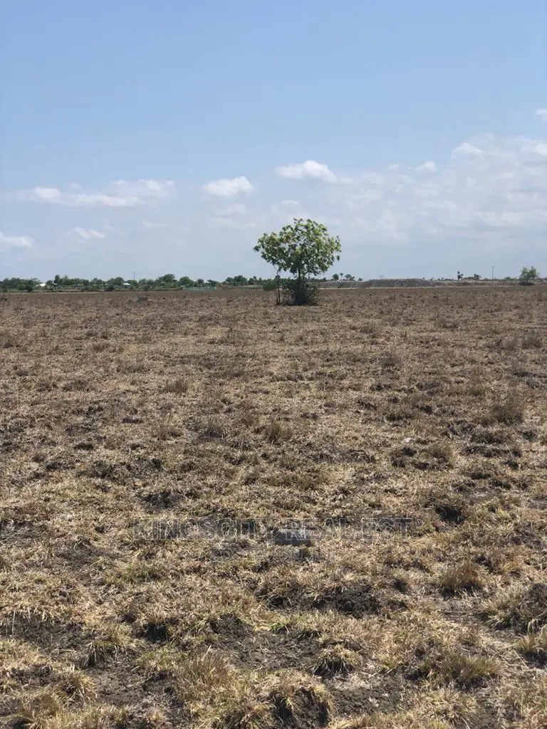 Peaceful Environment Land for Sale at Tsopoli
