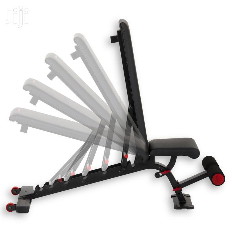 Weights Bench (Black)