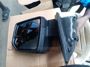 Ford F-150 2014 To 2020  Side Mirror With Light Available
