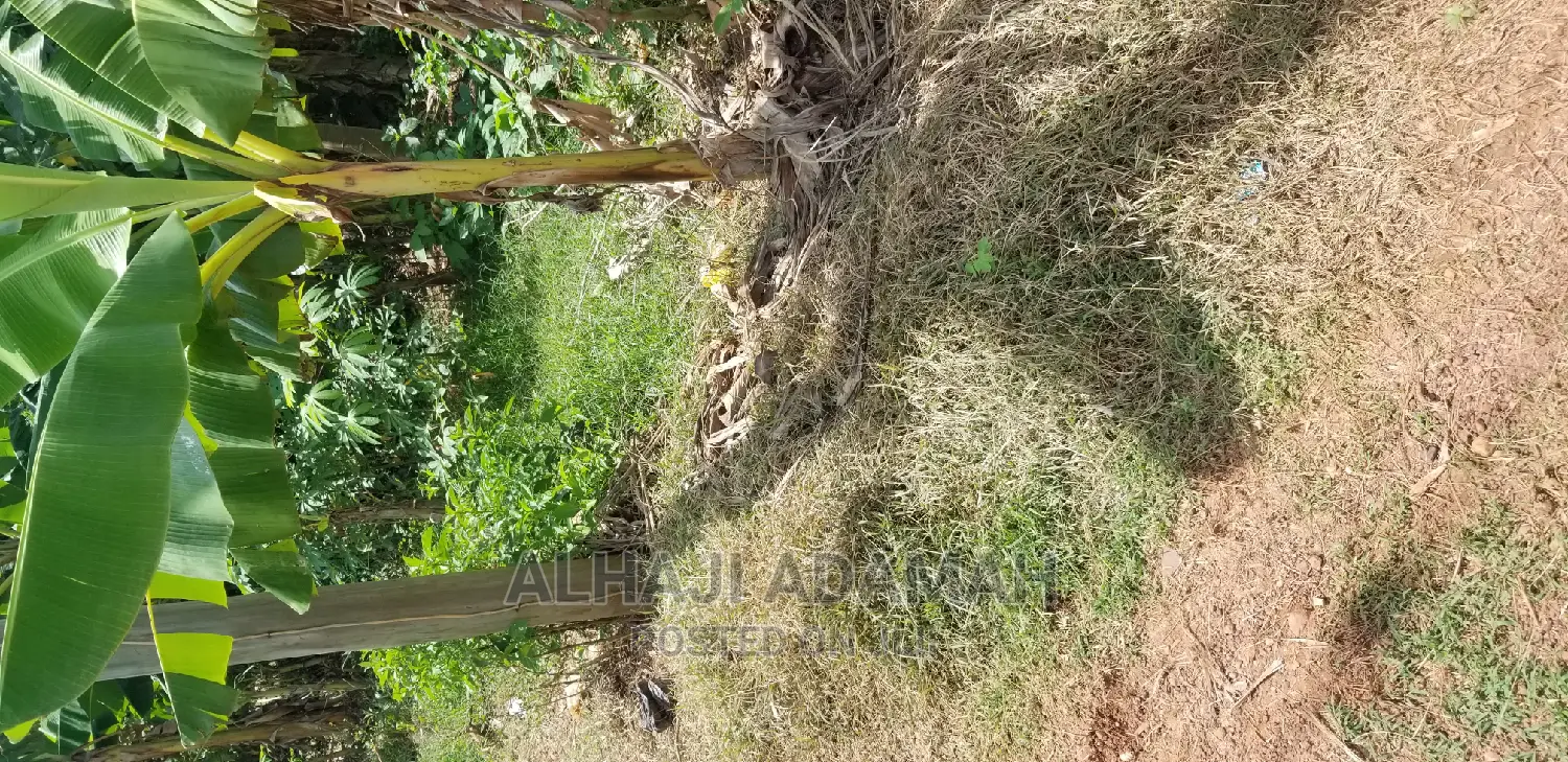 Land for Sale at Santasi Darko
