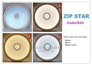 Ceiling Led Light