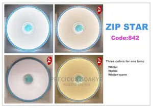 Ceiling Led Light