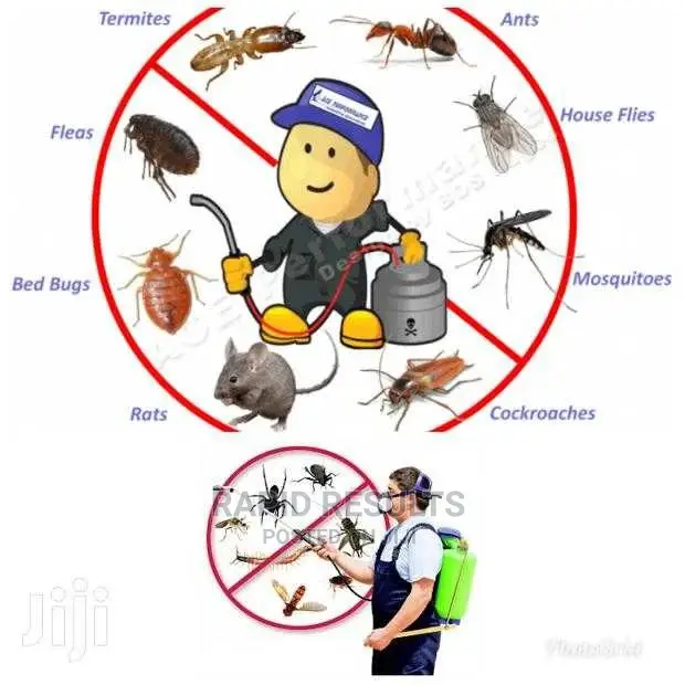 Professional Fumigation and Pest Control Services
