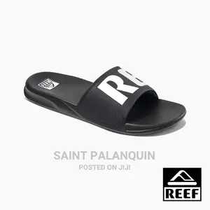 Reef Slides