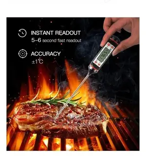 Digital Food Thermometer