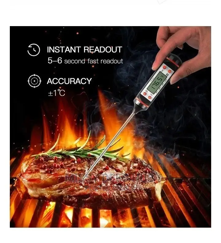 Digital Food Thermometer