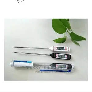 Digital Food Thermometer