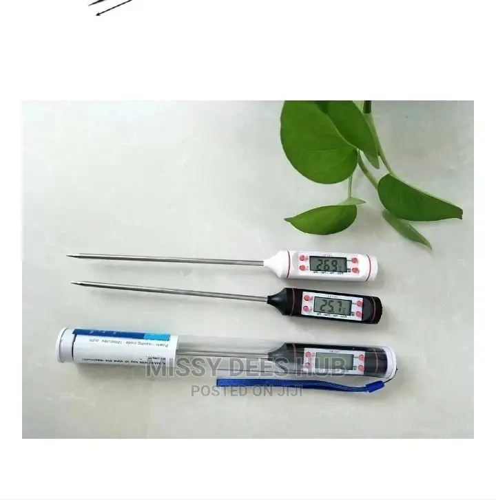 Digital Food Thermometer