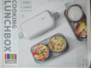 Electric Lunch Box