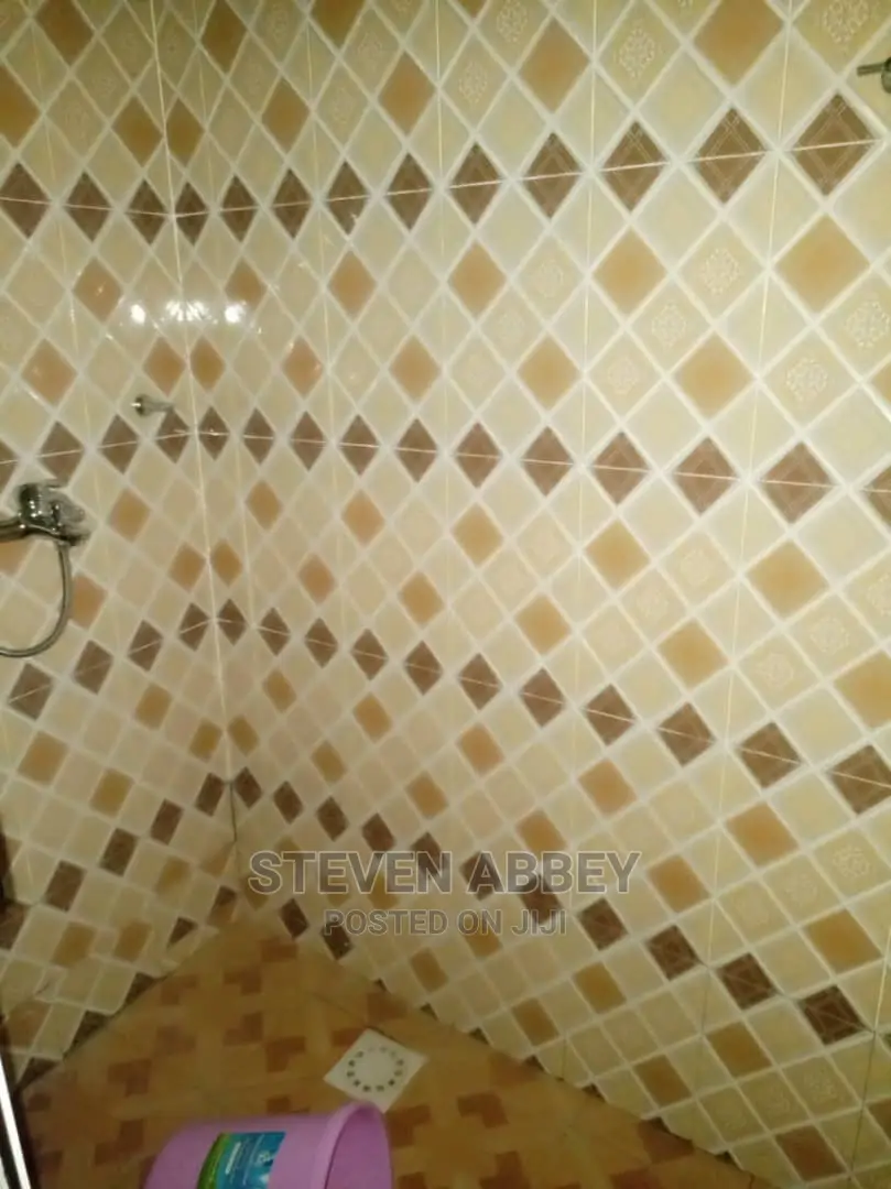 1bdrm Apartment in Adom Agency, Baatsona Total for Rent