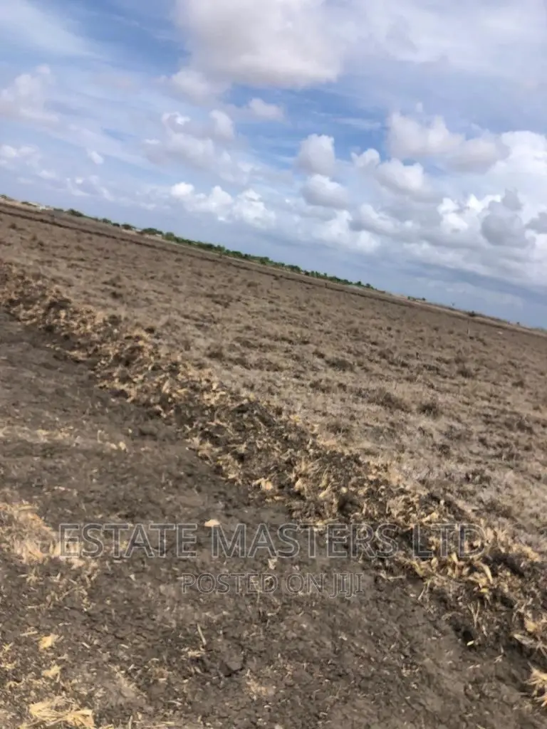 Waterlogged Free Land On Promo