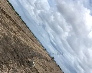 Nice Area Land for Sale at Tsopoli