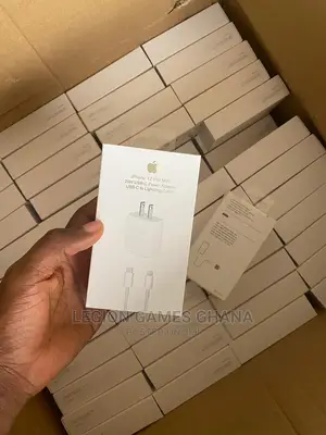 Original Type C Apple Charger