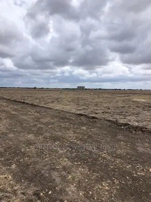 Serene and Good Acess Road Lands for Sale at Tsopoli