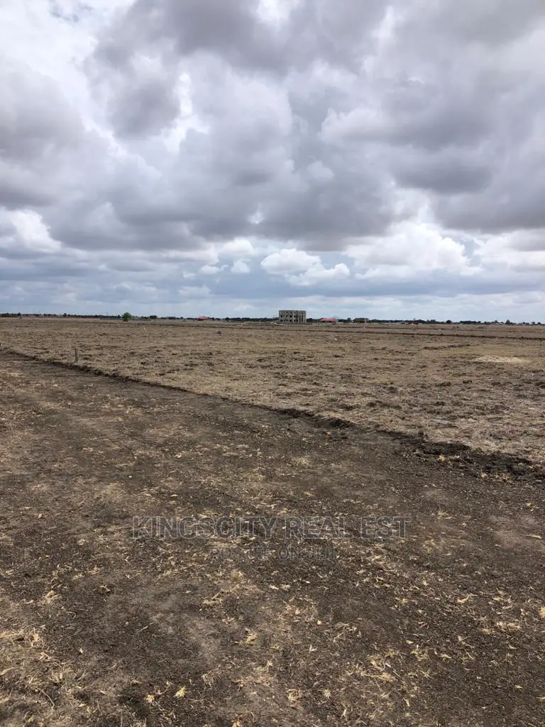 Serene and Good Acess Road Lands for Sale at Tsopoli