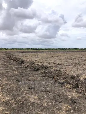 Vast Demarcated Land for Sale at Tsopoli