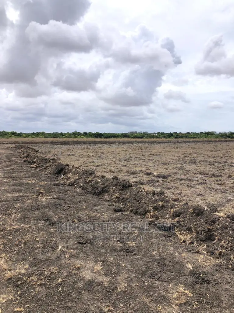 Vast Demarcated Land for Sale at Tsopoli
