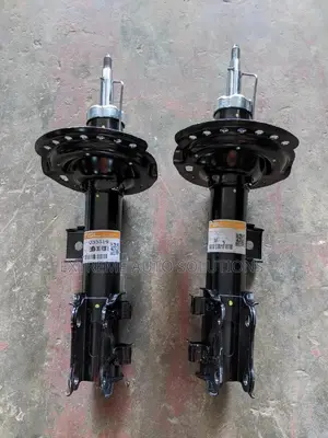 Hyundai Elantra 2012 Shocks