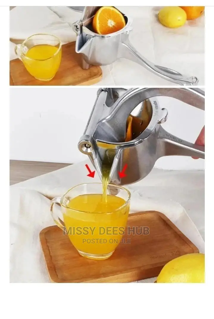 Manual Fruit Press