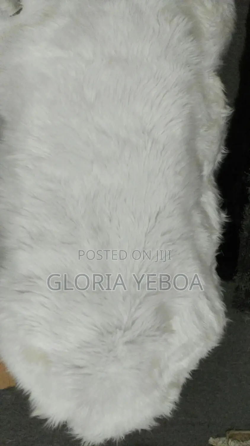Fluffy Carpet