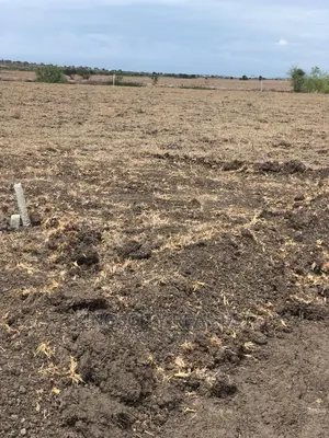 Magnificent Environment Land for Sale at Tsopoli