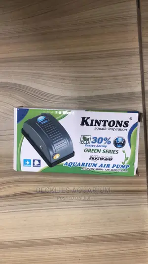 Single Outlet Airpump