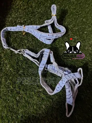 Toy Dogs Harness Serial No. 2021/0001