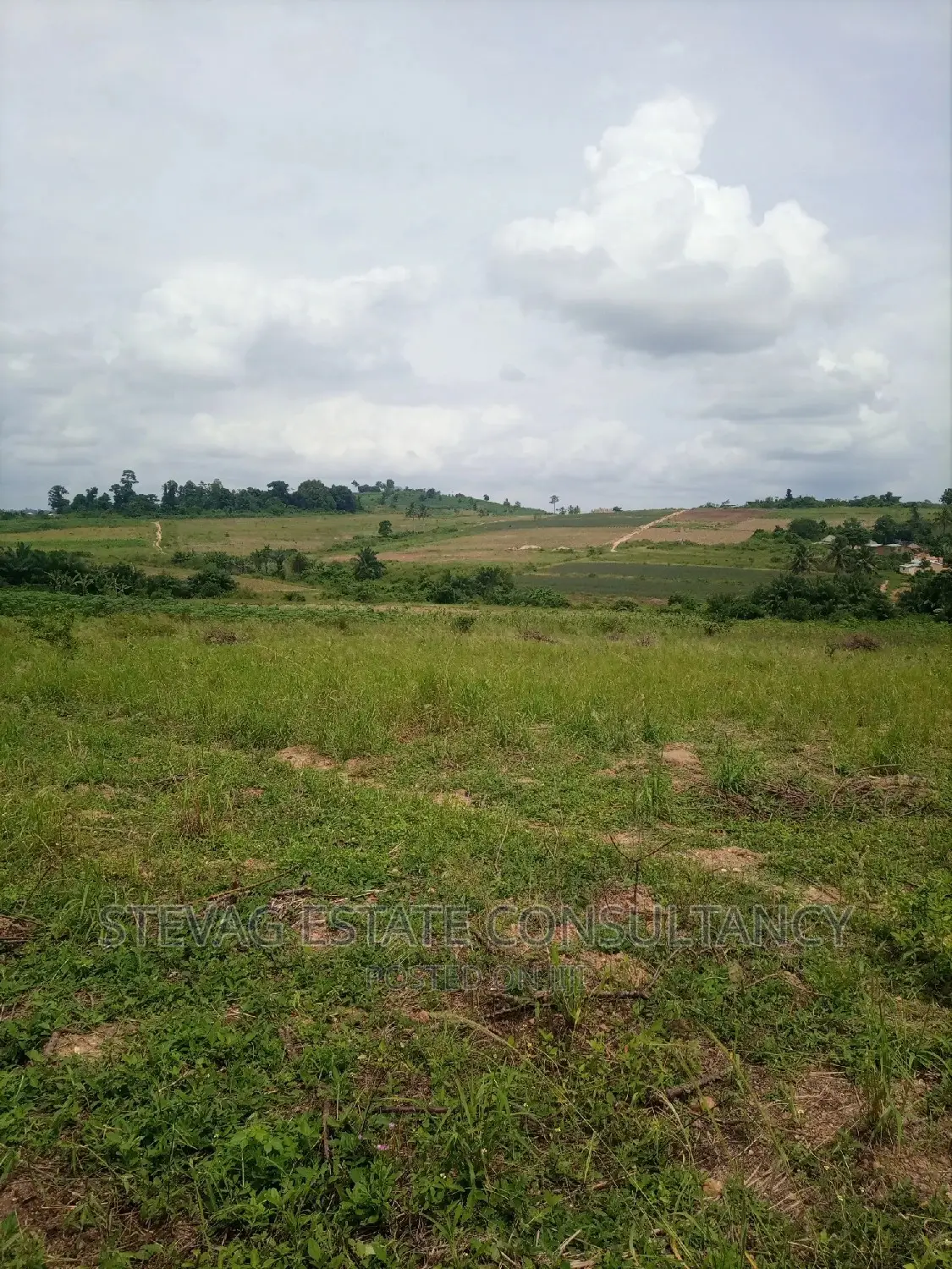 1000 Acres of Farm Land for Sale at Apam Junction Apoko Road in Awutu