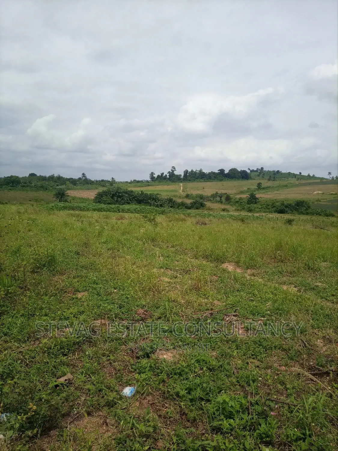Alpha Properties Land for Sale at Amasaman Ashifla