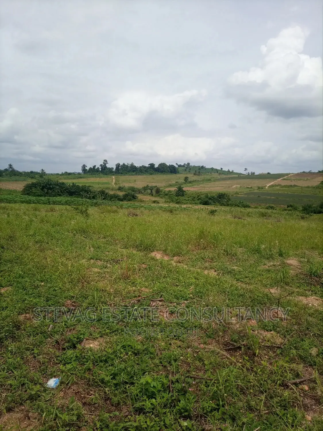 1000 Acres of Farm Land for Sale at Apam Junction Apoko Road in Awutu