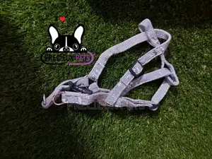 Dogs Harness Serial No. 2021/0004
