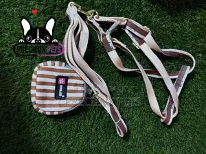 Dogs Harness Serial No. 2021/0007