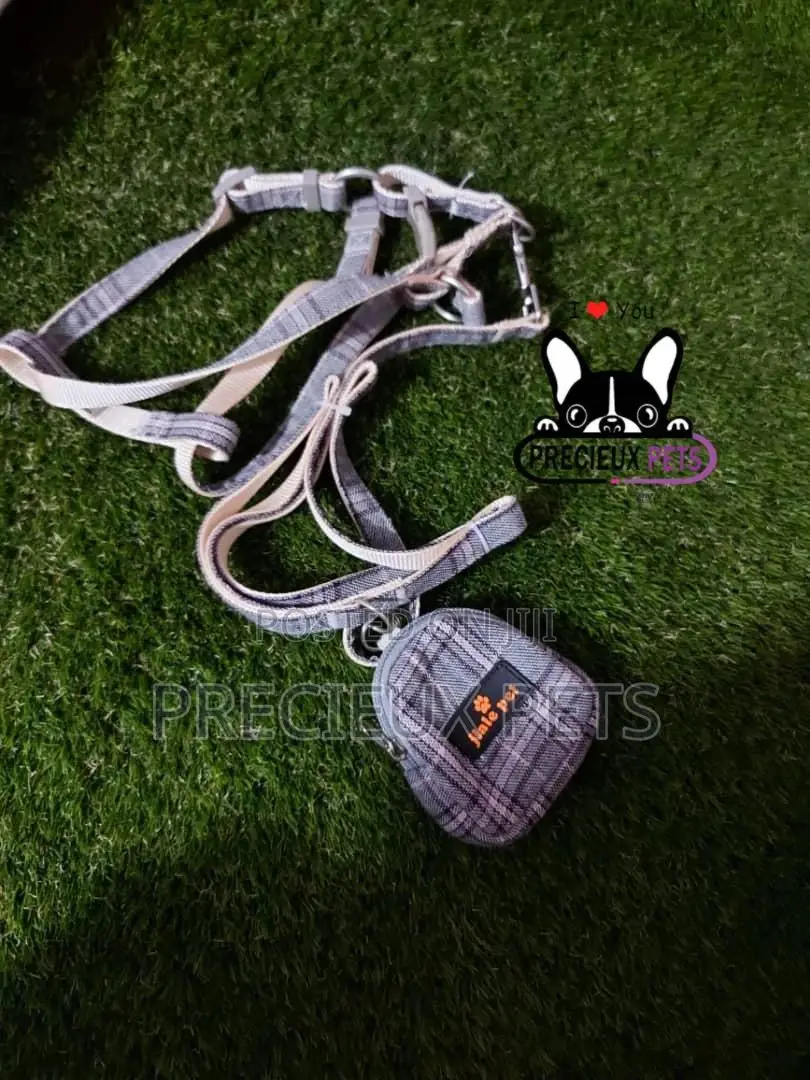 Dogs Harness Serial No. 2021/0008