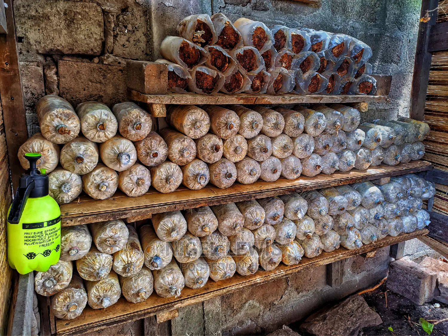 Organic Mushroom Substrates