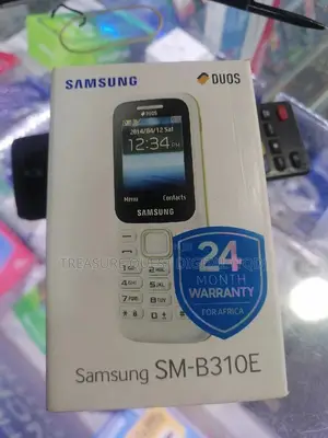 New Samsung Guru Music 2