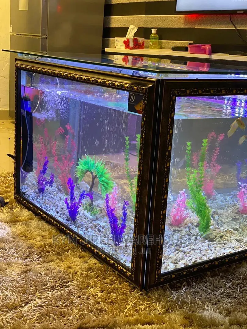 Center Table Aquarium With Fish