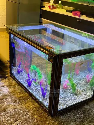 Center Table Aquarium With Fish