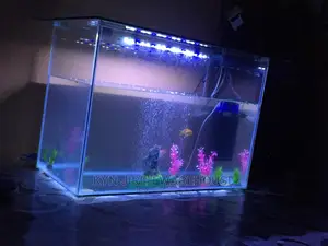 Point and Kill Tank 3ft X 2ft X17”
