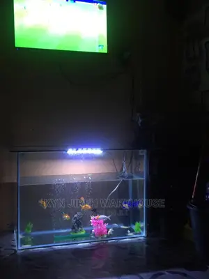 Point and Kill Tank 3ft X 2ft X17”